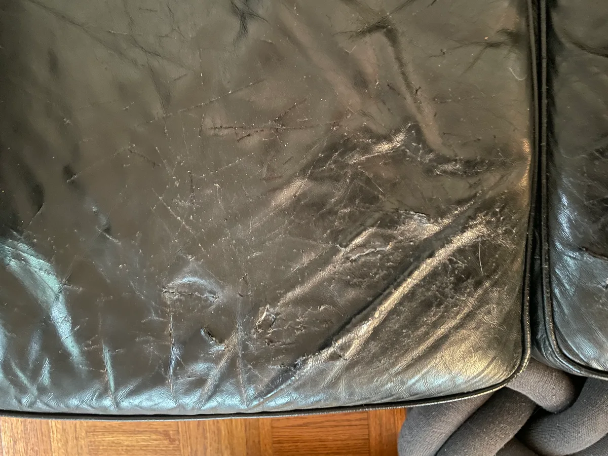 Black leather sofa seat cushion panel 1 — severe cat scratch damage, leather shredded through