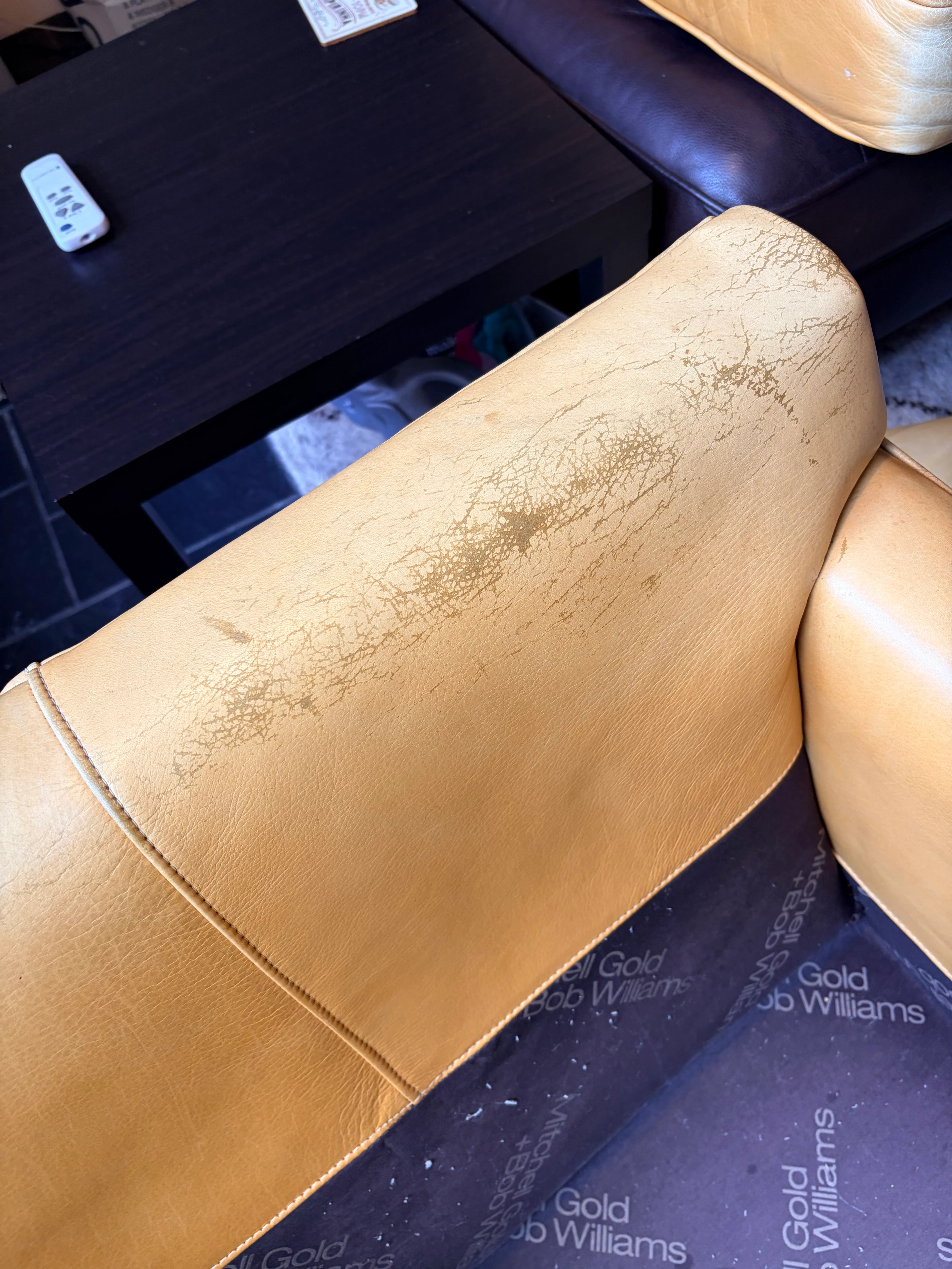 Mitchell Gold Hunter leather chair seat back panel before restoration — extensive crack network across surface from drying and UV exposure